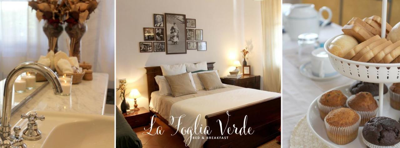 B&B La Foglia Verde 马萨 外观 照片