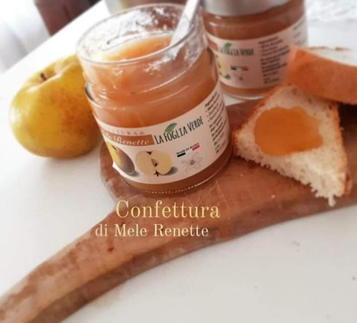 B&B La Foglia Verde 马萨 外观 照片